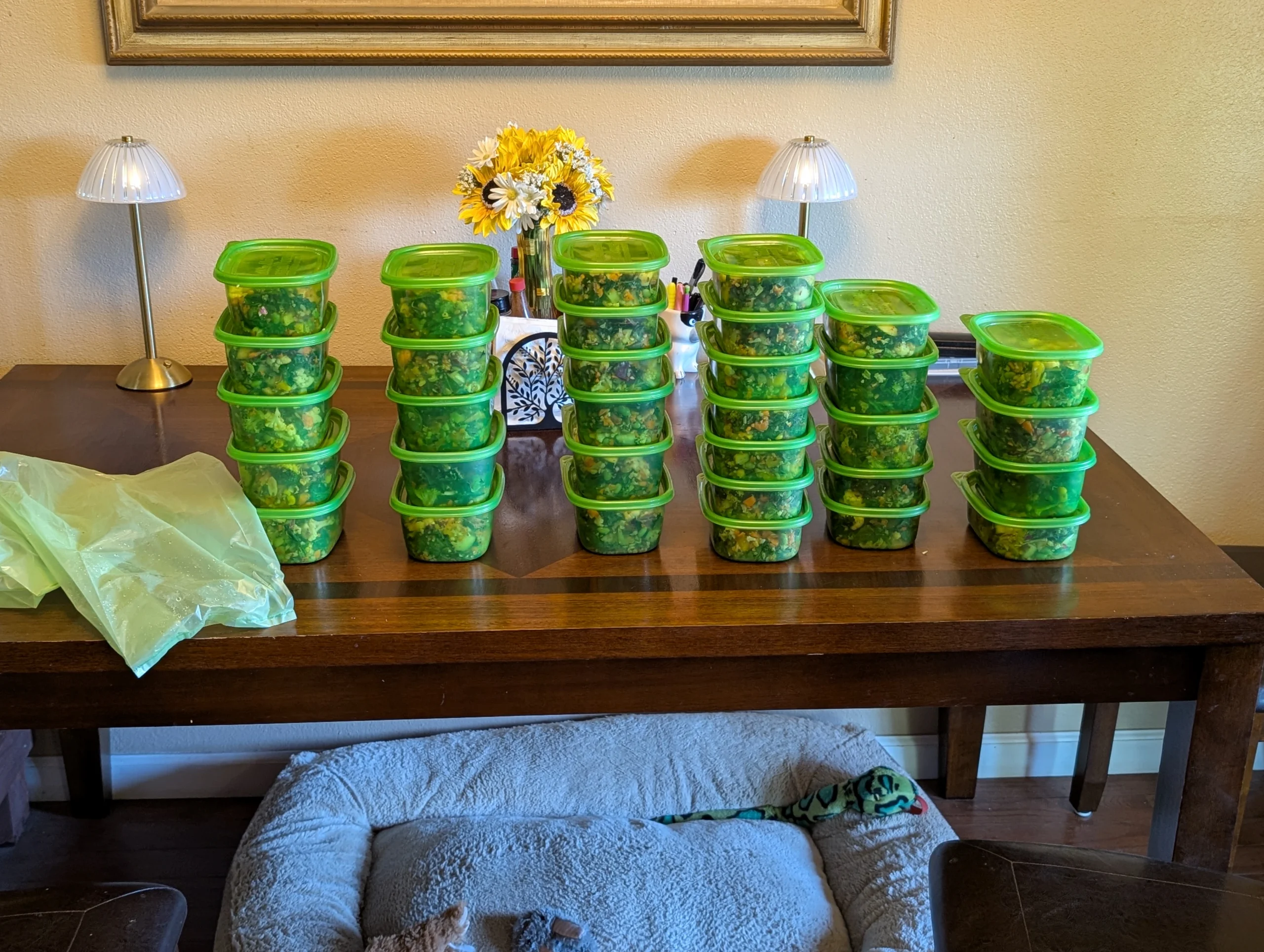 Debbie Meyer containers and produce bags Lex uses
