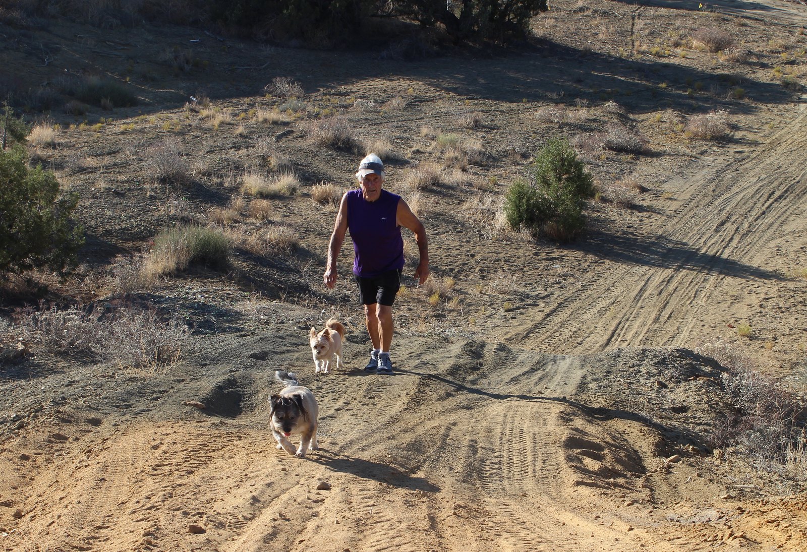 Lex’s dad walking the hills with their two dogs