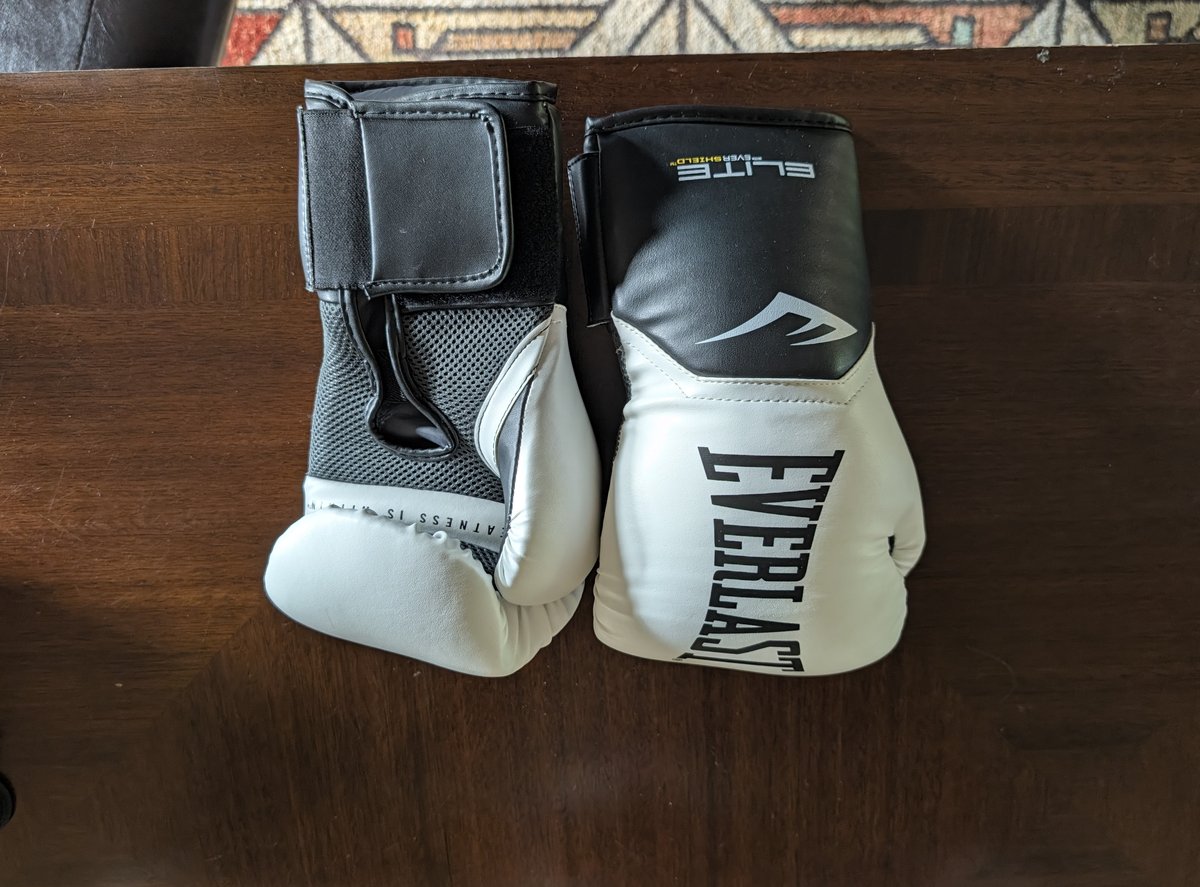 Everlast Elite 10 oz boxing gloves Lex tested against RDX