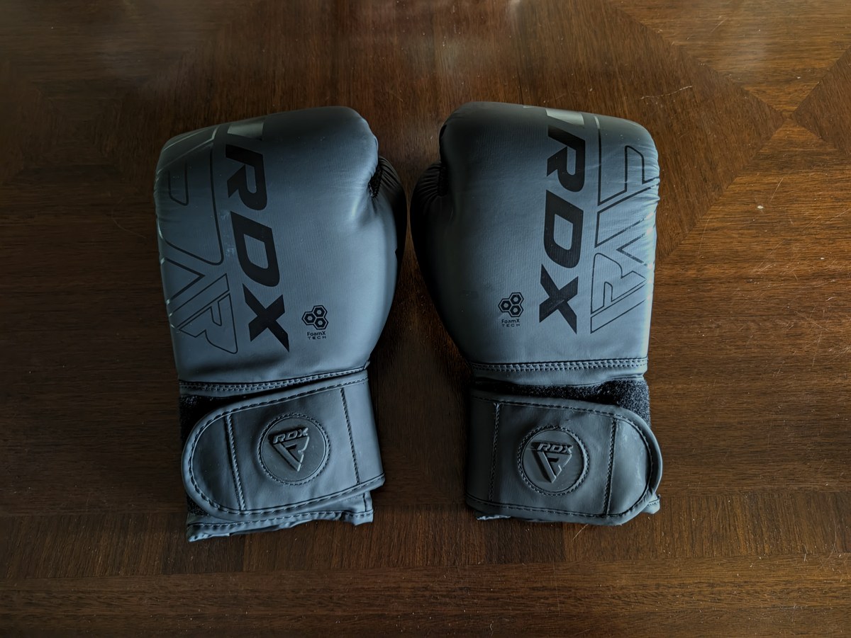 RDX 10 oz boxing gloves Lex recommends for beginners